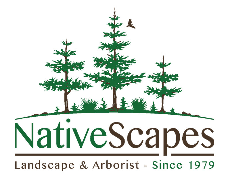 Nativescapes Landscape and Arborist logo